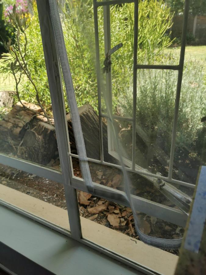 Stew S Room Polokwane Eksteriør bilde